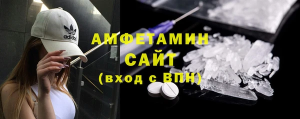 шишки Белокуриха