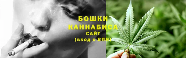 шишки Белокуриха