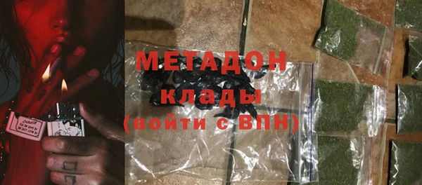 шишки Белокуриха