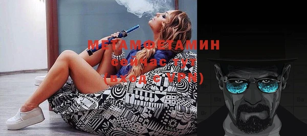 шишки Белокуриха