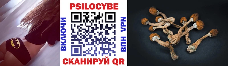 Псилоцибиновые грибы Cubensis  Купить закладки  Демидов 